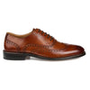 THOMAS & VINE - Franklin Wingtip Oxford - Bundle Bus