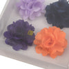 Assorted Solid Mini Bouquet Clutch Back Flower Lapel Pin 4pc Combo Set 4FLP-PRP - Bundle Bus