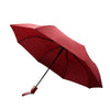 Auto Open Compact Solid Color Travel Umbrella - UM5029 - Bundle Bus