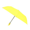 Auto Open Compact Solid Color Travel Umbrella - UM5029 - Bundle Bus