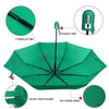 Auto Open Compact Solid Color Travel Umbrella - UM5029 - Bundle Bus
