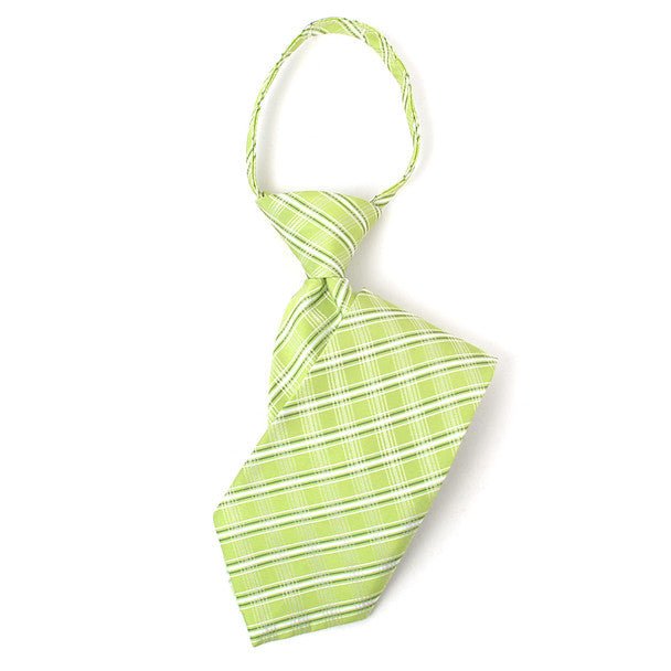 Boy's 14" Plaid Lime Zipper Tie - Bundle Bus