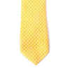 Boy's 14" Small Paisley Yellow Zipper Tie - Bundle Bus