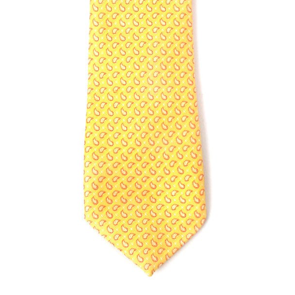 Boy's 14" Small Paisley Yellow Zipper Tie - Bundle Bus