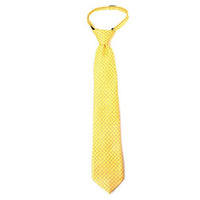 Boy's 14" Small Paisley Yellow Zipper Tie - Bundle Bus