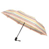 Compact Travel Stripe Umbrella -UM3220-P - Bundle Bus