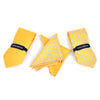 Dotted & Solid Tie with Matching Hanky Box Set - THX12-YW-1 - Bundle Bus