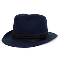 Fall/Winter Wide Brim Trilby Fedora Hat with Black Band Trim - H1805264 - Bundle Bus