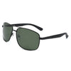 Jenjo Blani Polarized Sunglasses - 4377P/S - Bundle Bus