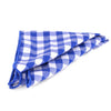 Men's Checkered Cotton Bow Tie & Hanky Set - CTBH1733 - Bundle Bus