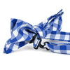 Men's Checkered Cotton Bow Tie & Hanky Set - CTBH1733 - Bundle Bus