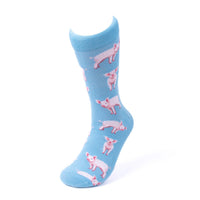 Men's Pink Pigs Novelty Socks-NVS19636-BL - Bundle Bus