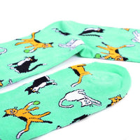 Men's Playful Cats Novelty Socks - NVS19548-TQ - Bundle Bus