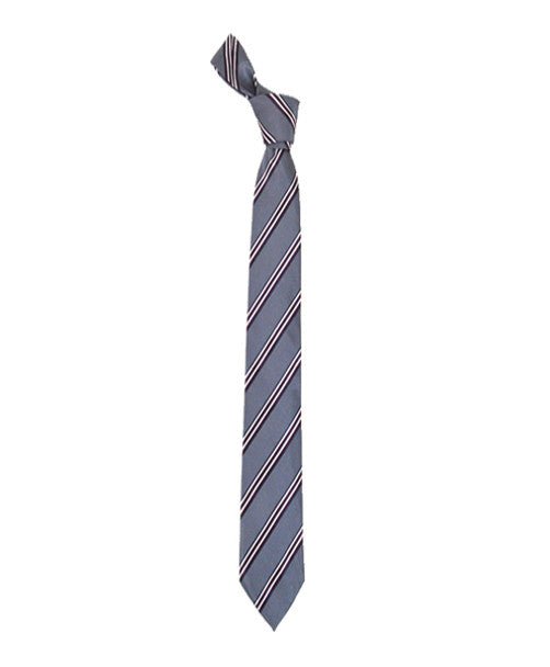 Microfiber Poly Woven Tie SLIM 2.75" MPWS5230 - Bundle Bus