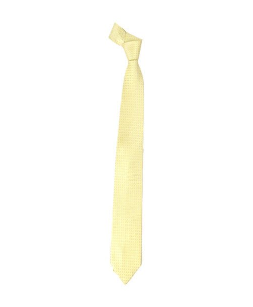 Microfiber Poly Woven Tie SLIM 2.75" MPWS5239 - Bundle Bus