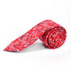 Paisley Cotton Slim Tie 2.5" - NVC-PAISLEY - Bundle Bus