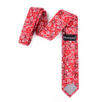 Paisley Cotton Slim Tie 2.5" - NVC-PAISLEY - Bundle Bus