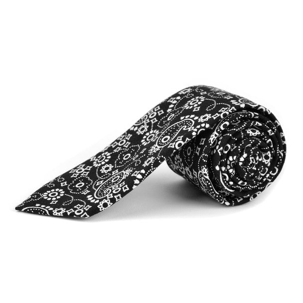 Paisley Cotton Slim Tie 2.5" - NVC-PAISLEY - Bundle Bus