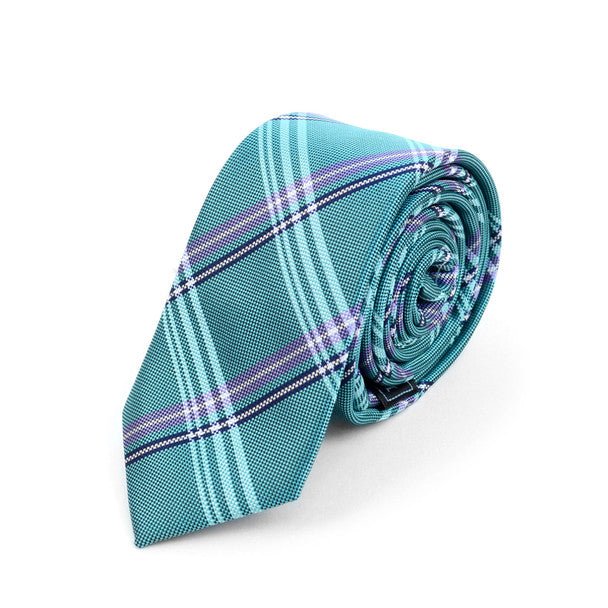 Plaid Microfiber Poly Woven 2.25" Slim Tie - MPWS5906 - Bundle Bus