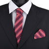 Striped & Solid Tie with Matching Hanky Box Set - THX12-BUR-2 - Bundle Bus