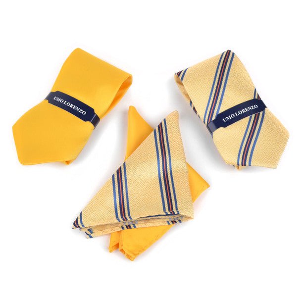 Striped & Solid Tie with Matching Hanky Box Set - THX12-YW-2 - Bundle Bus