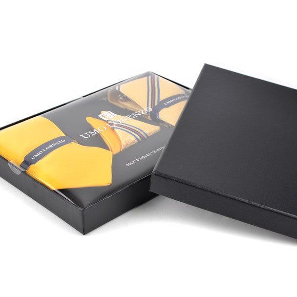 Striped & Solid Tie with Matching Hanky Box Set - THX12-YW-2 - Bundle Bus