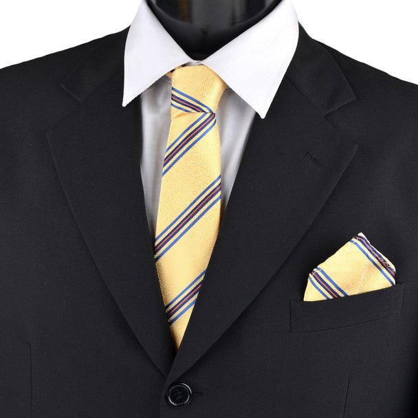 Striped & Solid Tie with Matching Hanky Box Set - THX12-YW-2 - Bundle Bus