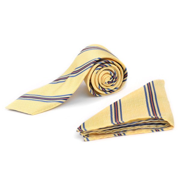 Striped & Solid Tie with Matching Hanky Box Set - THX12-YW-2 - Bundle Bus